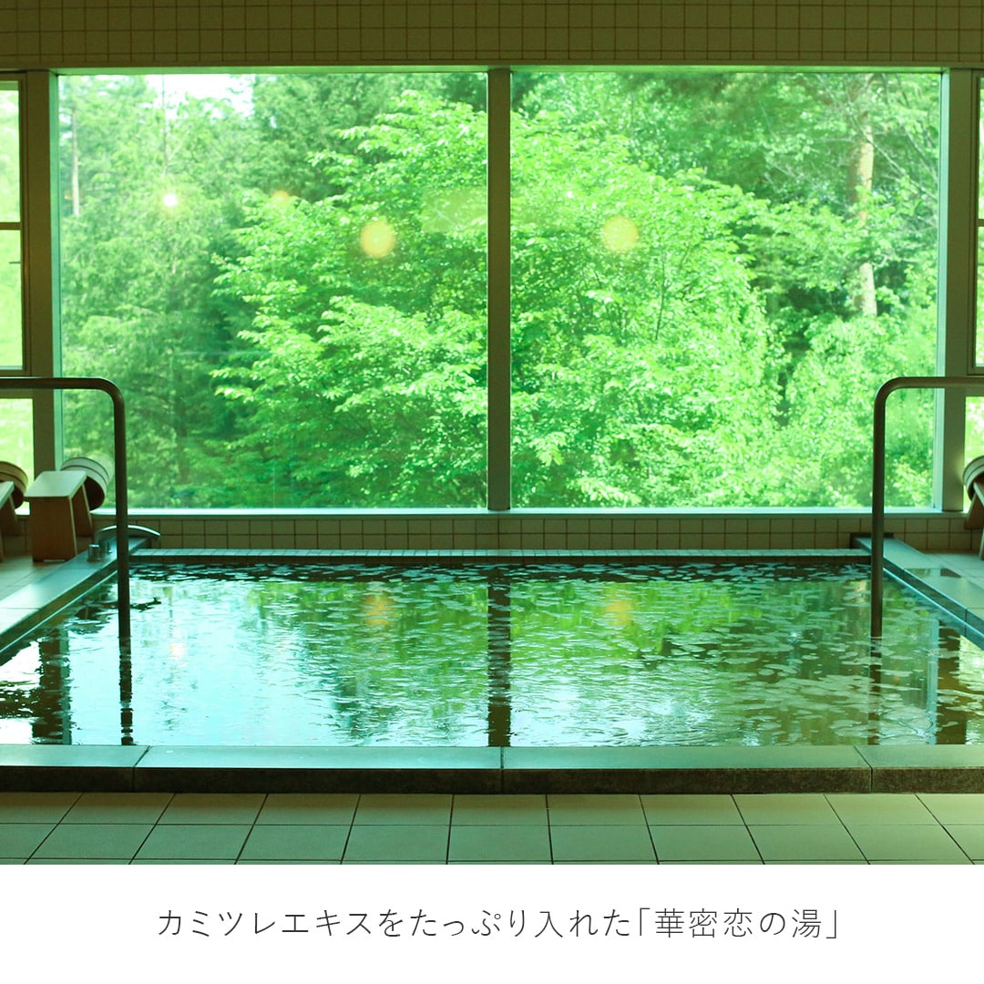 【日帰り】カモミール定植体験プラン 大人/子供: 大人