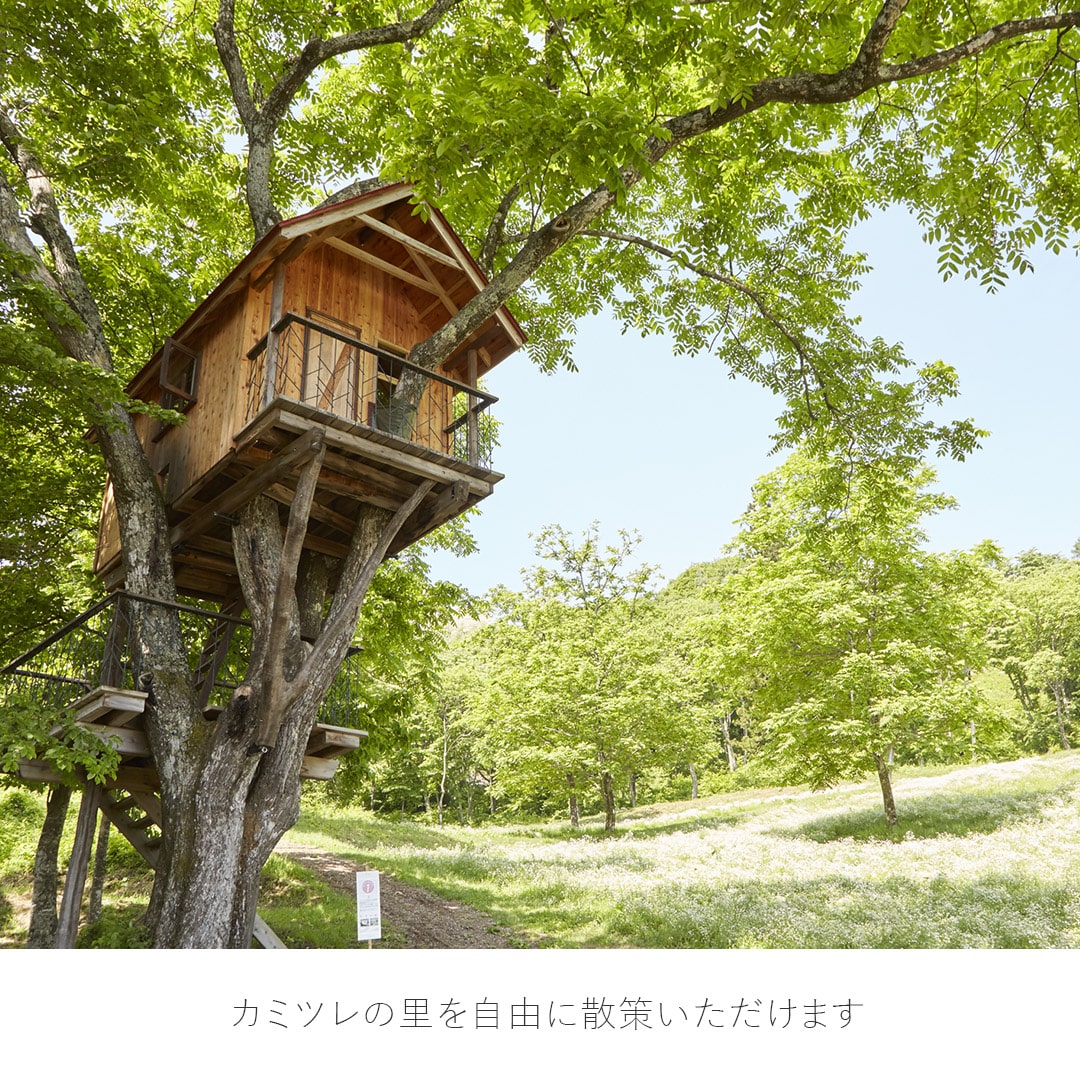 【1泊2日】カミツレの里 八寿恵荘 カモミール定植体験ツアー 大人/子供: 大人