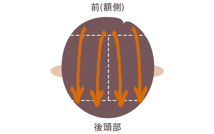 頭皮のイラスト