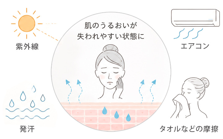 夏の肌