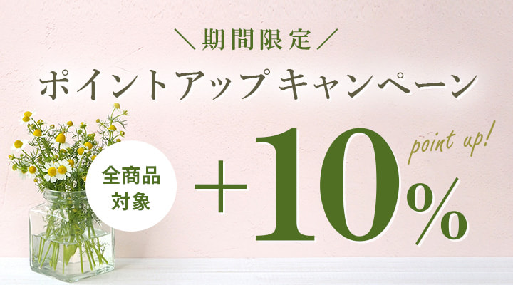 期間限定ポイントアップキャンペーン