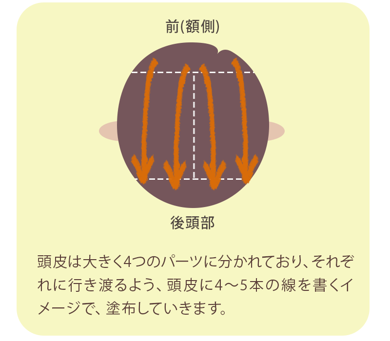 頭皮のイラスト