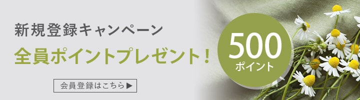 新規登録キャンペーン 500ポイントプレゼント