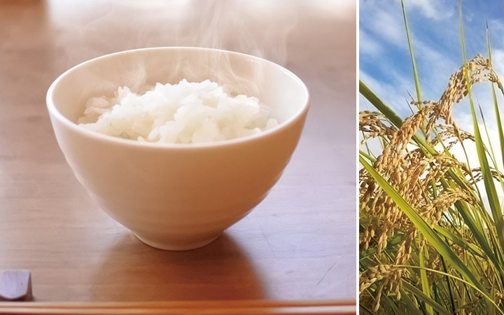華密恋米と稲穂の画像