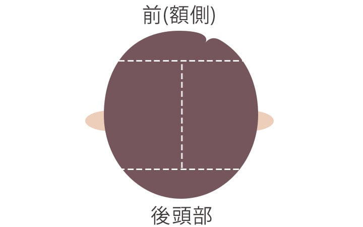 頭皮 ４つのパーツに