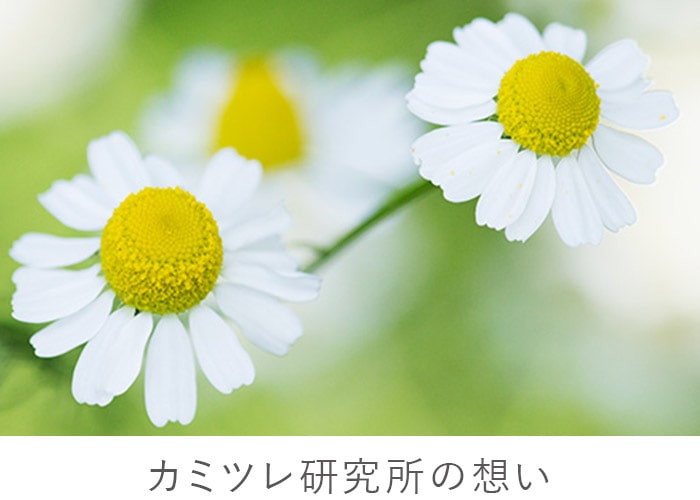 バナー画像