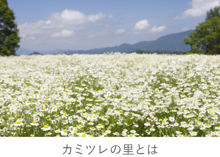 バナー画像