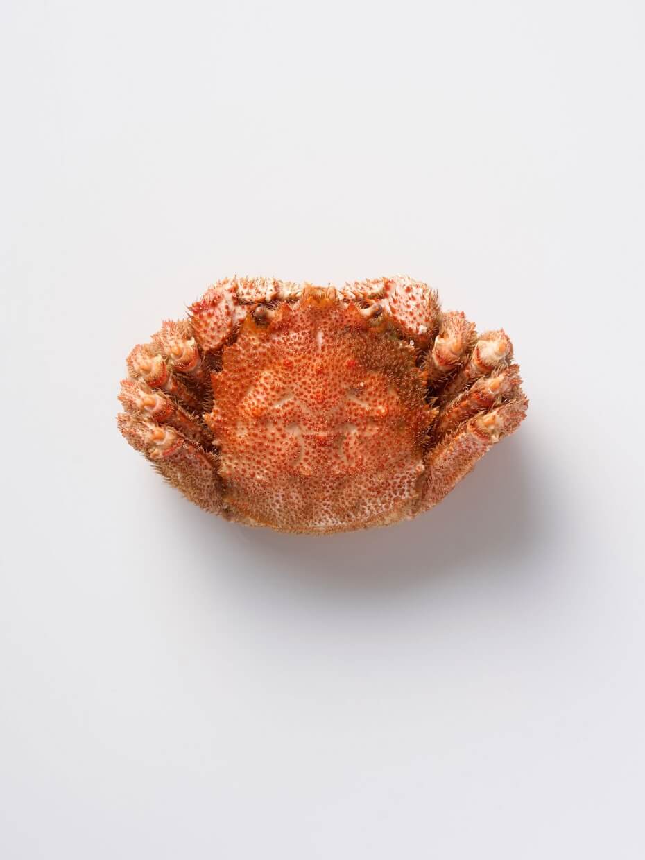 北海道産ボイル毛がに500g ※Kani-to特製かに酢付き