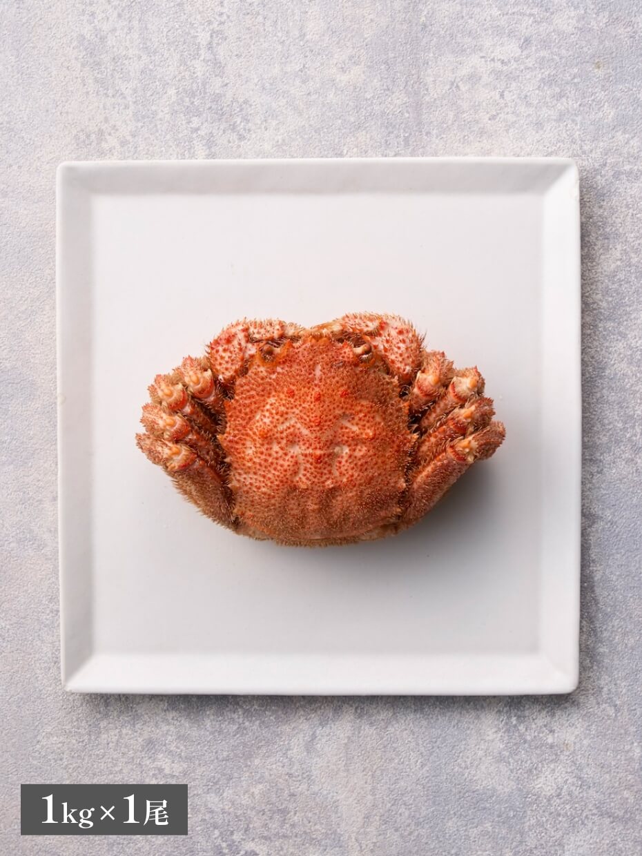 北海道産 特大ボイル毛がに1kg ※Kani-to特製かに酢付き