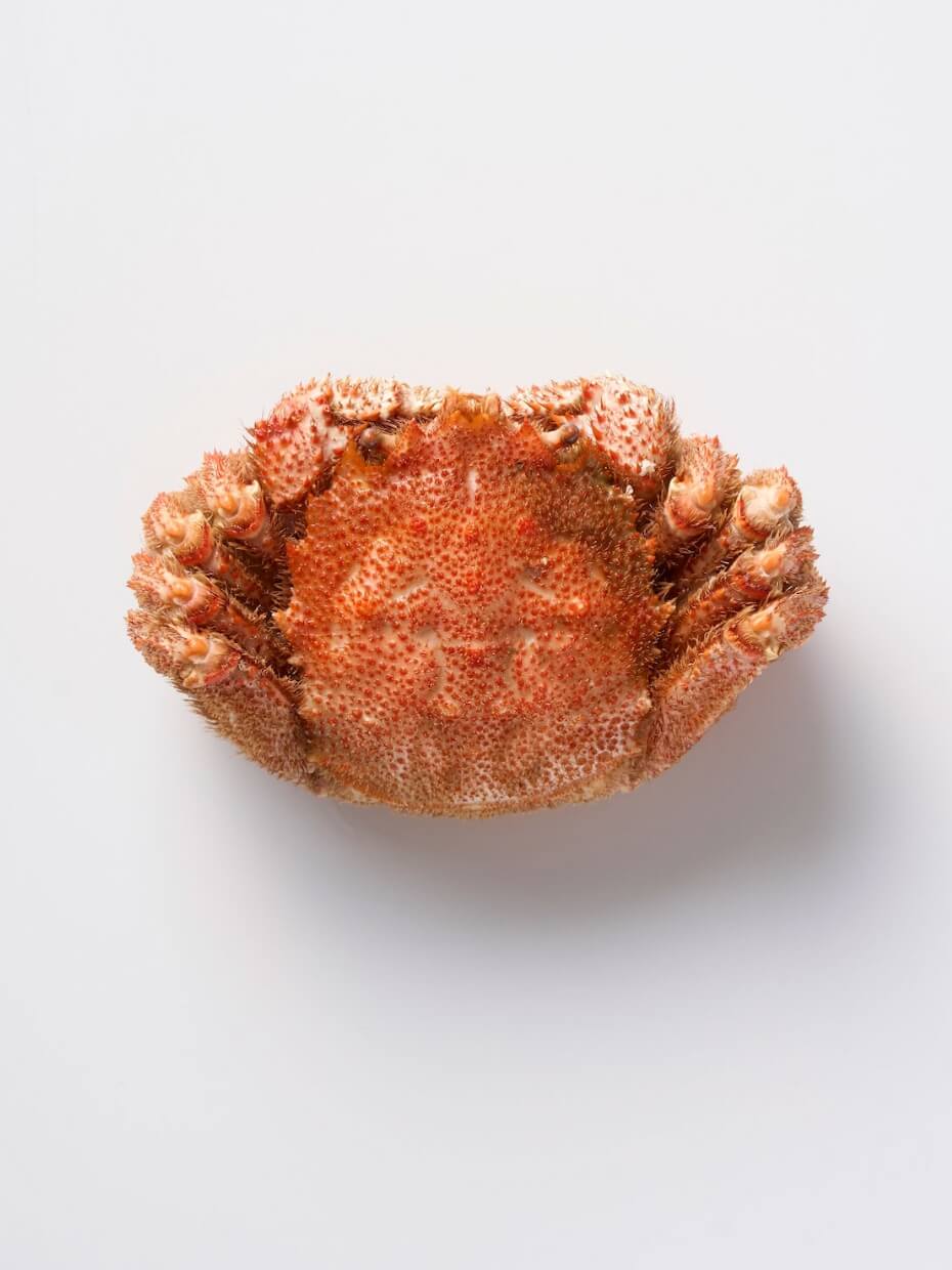 北海道産大型ボイル毛がに800g ※Kani-to特製かに酢付き