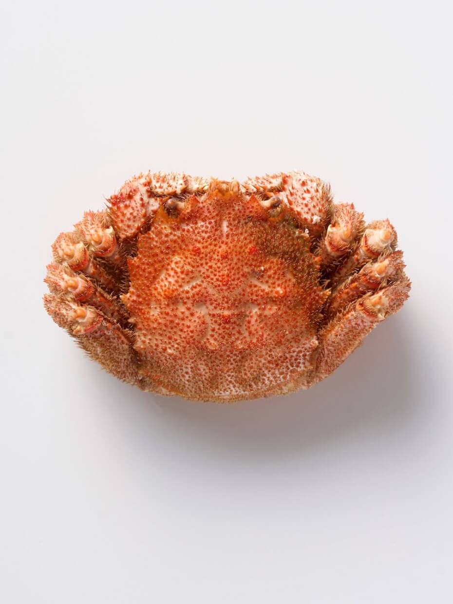 北海道産 特大ボイル毛がに1kg ※Kani-to特製かに酢付き