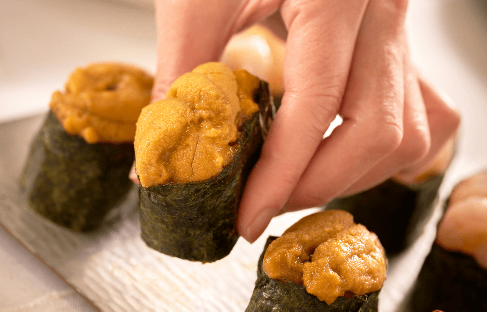 アウトレット・お試し商品