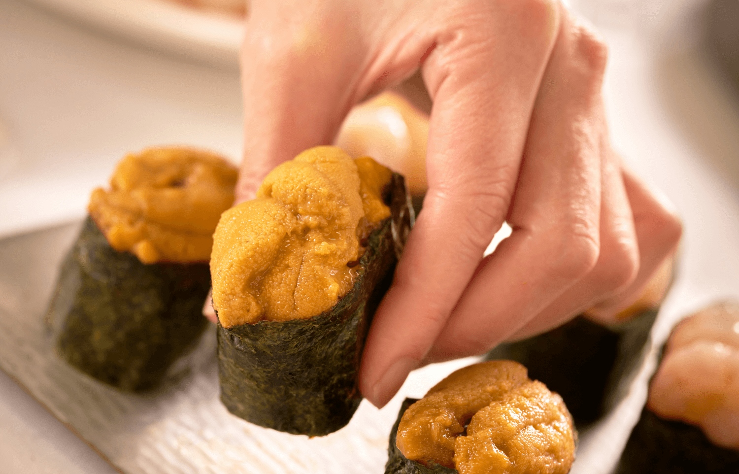 アウトレット・お試し商品