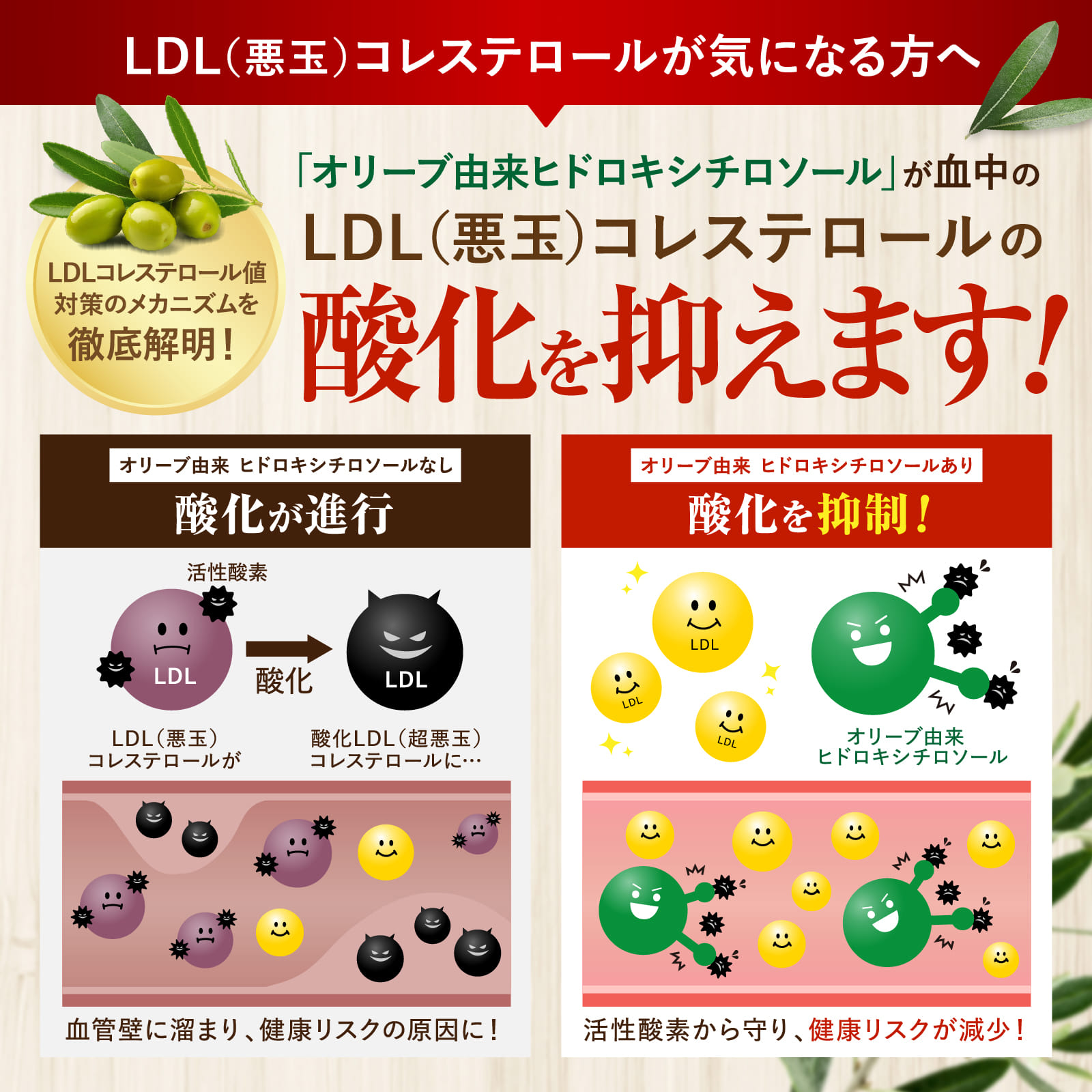 コレステロール・脂肪のWケア