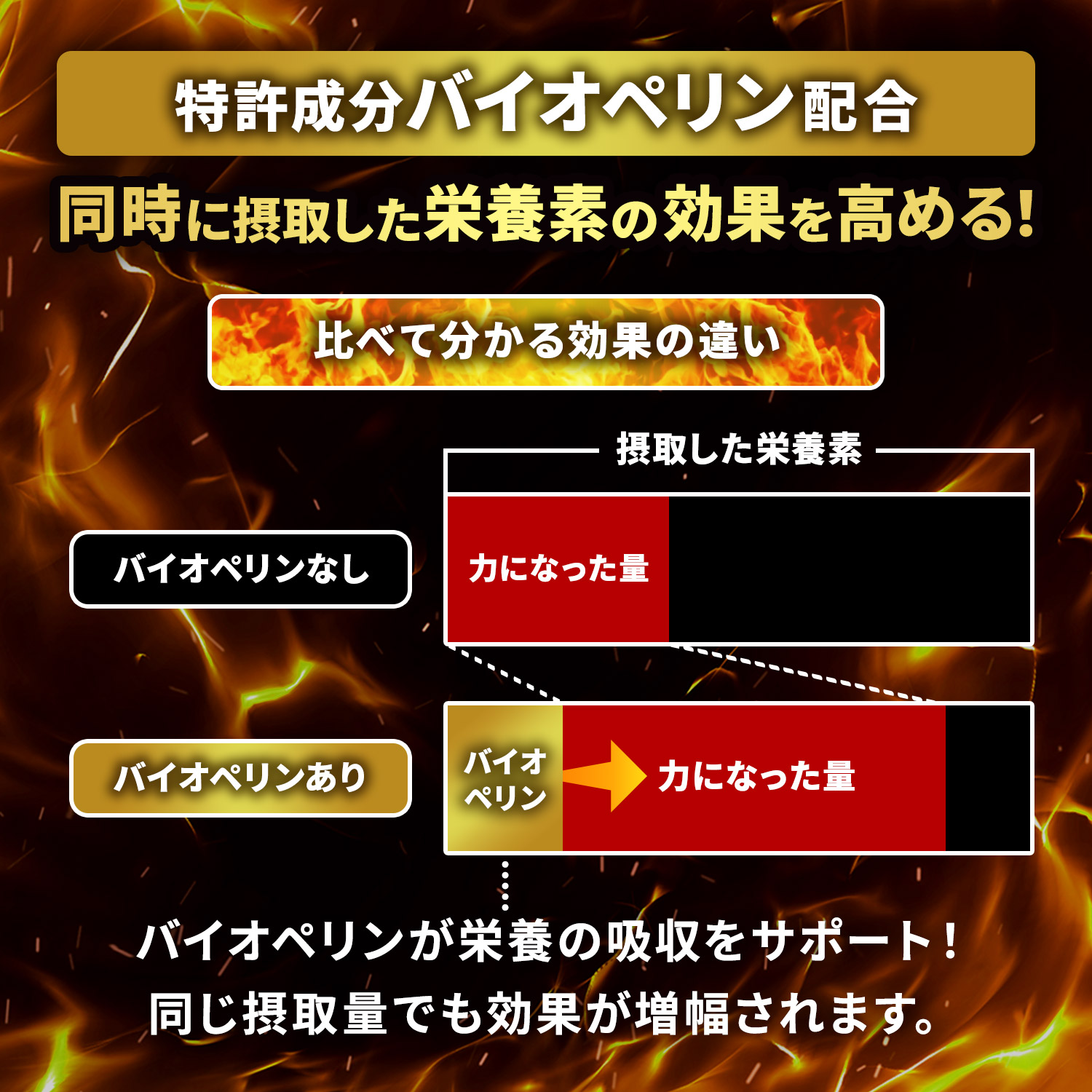 20倍濃縮マカ200,000mg