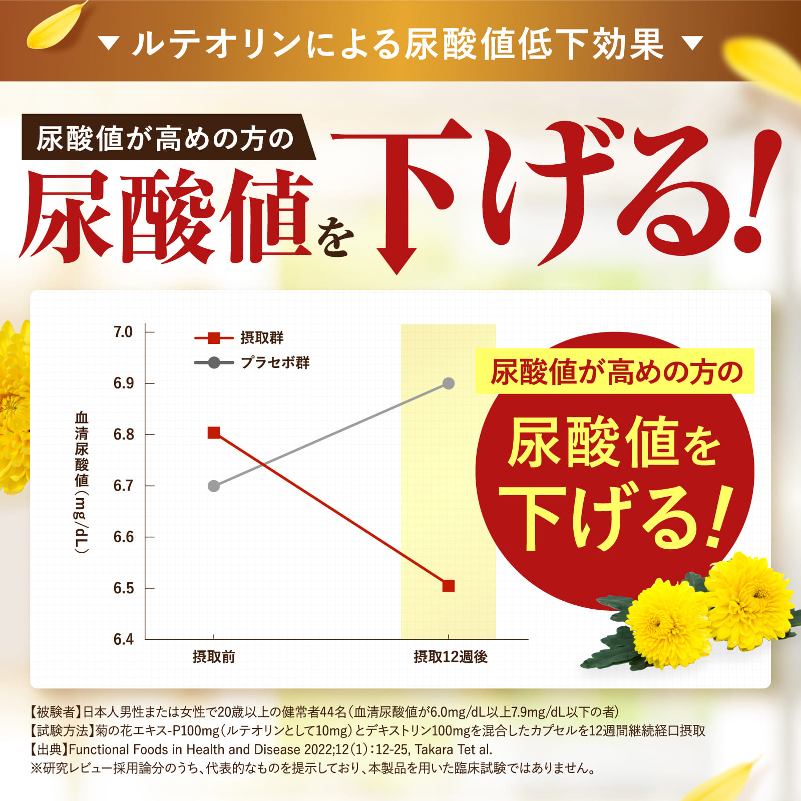 ルテオリンとGABAの極み