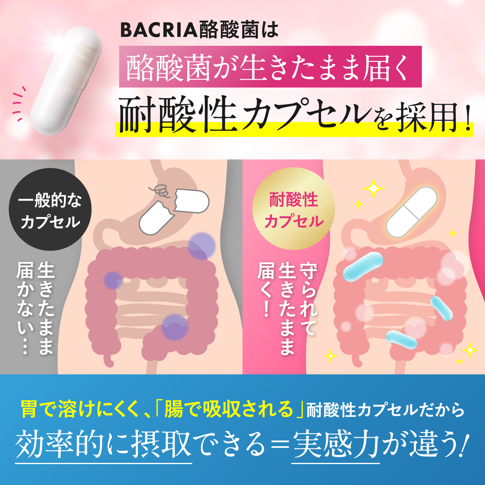 BACRIA酪酸菌