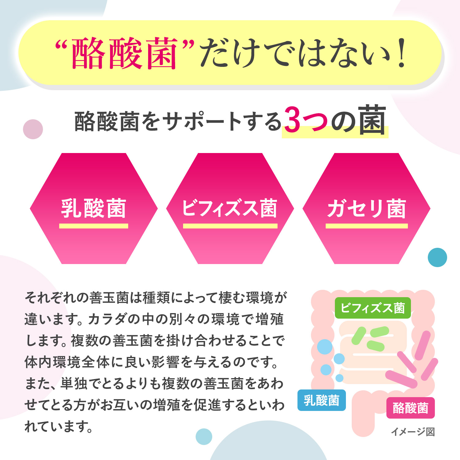菌活届くEX 生きて届く25億個の酪酸菌