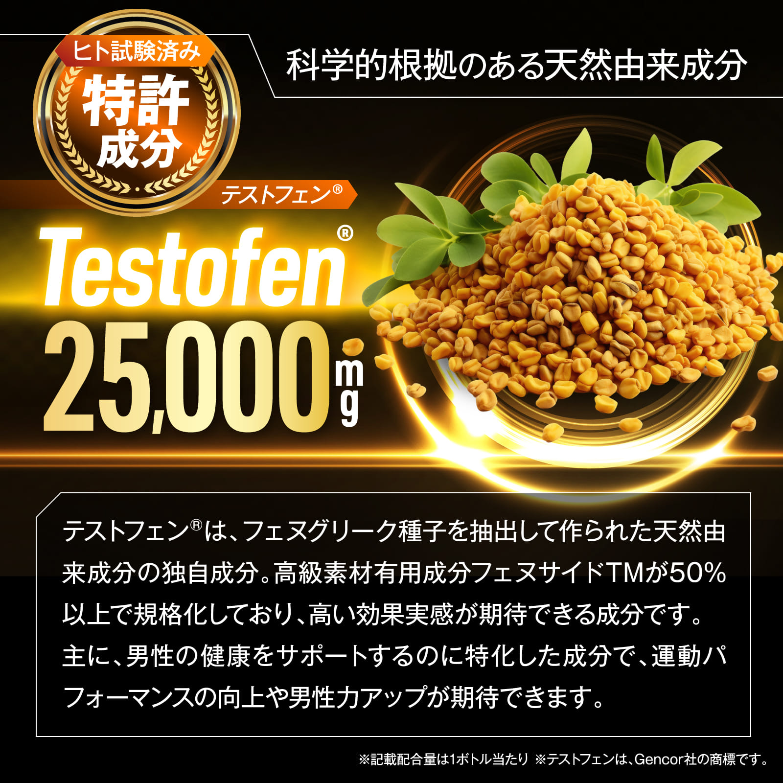 TESTSTAR(テストスター)