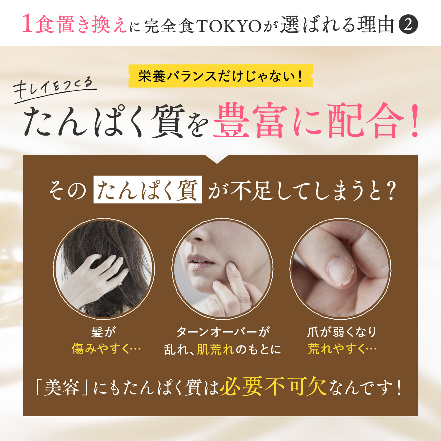 完全栄養食プロテイン 完全栄養食プロテイン: チョコレート