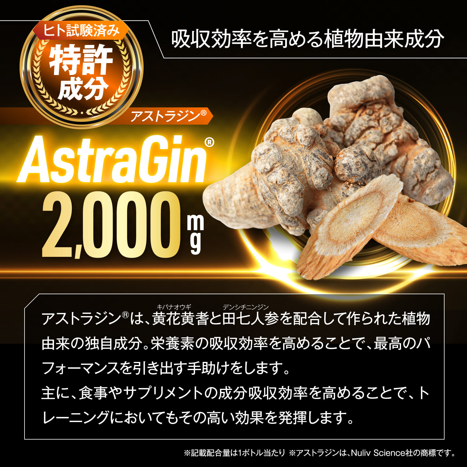 TESTSTAR(テストスター)