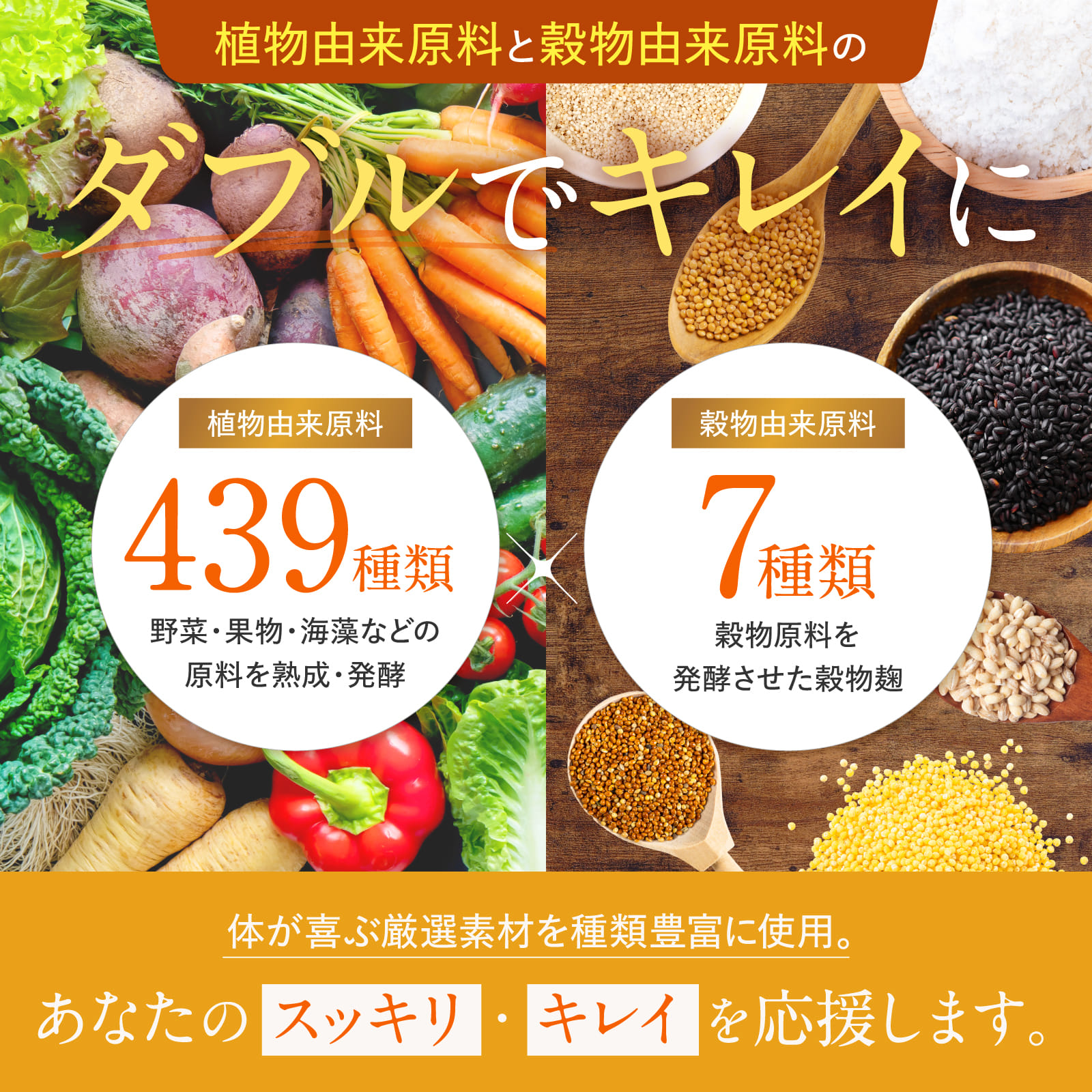 炭と菌のすっきり生酵素