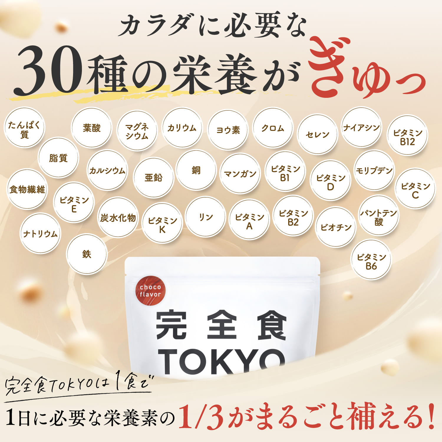 完全栄養食プロテイン 完全栄養食プロテイン: チョコレート