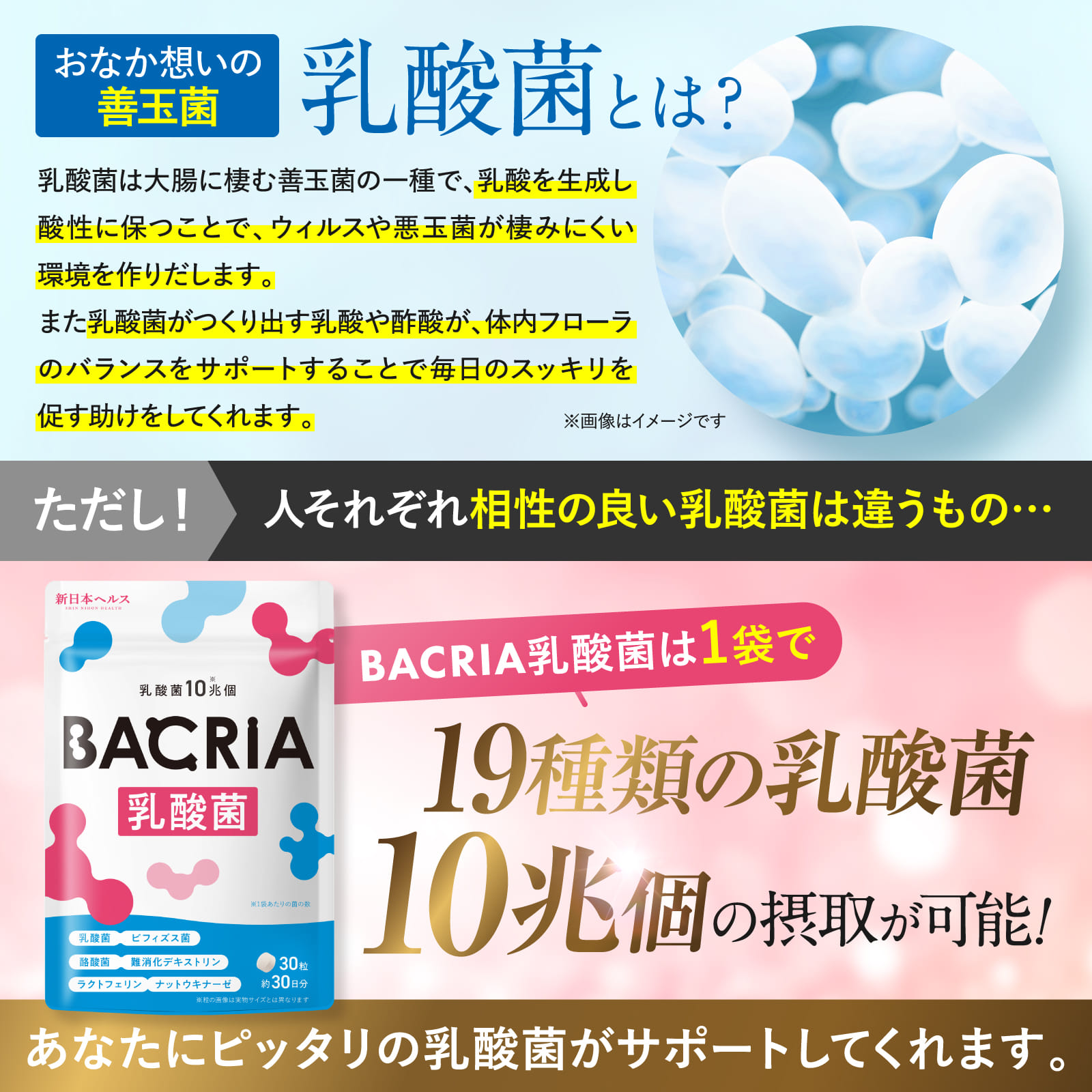 BACRIA乳酸菌