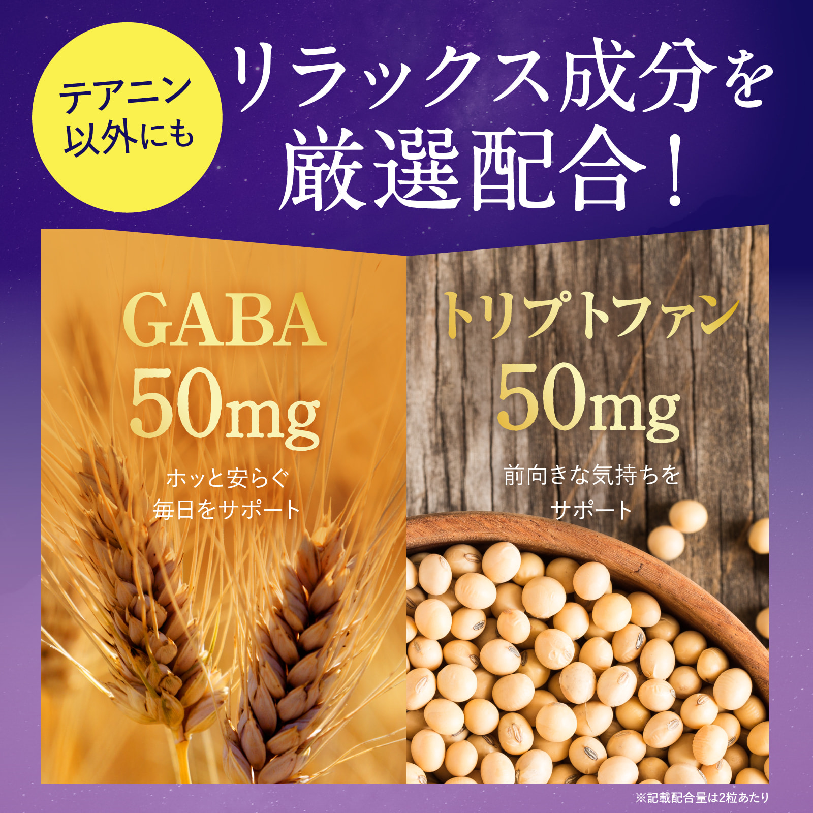 Ms. ナイトセレブテアニン300mg