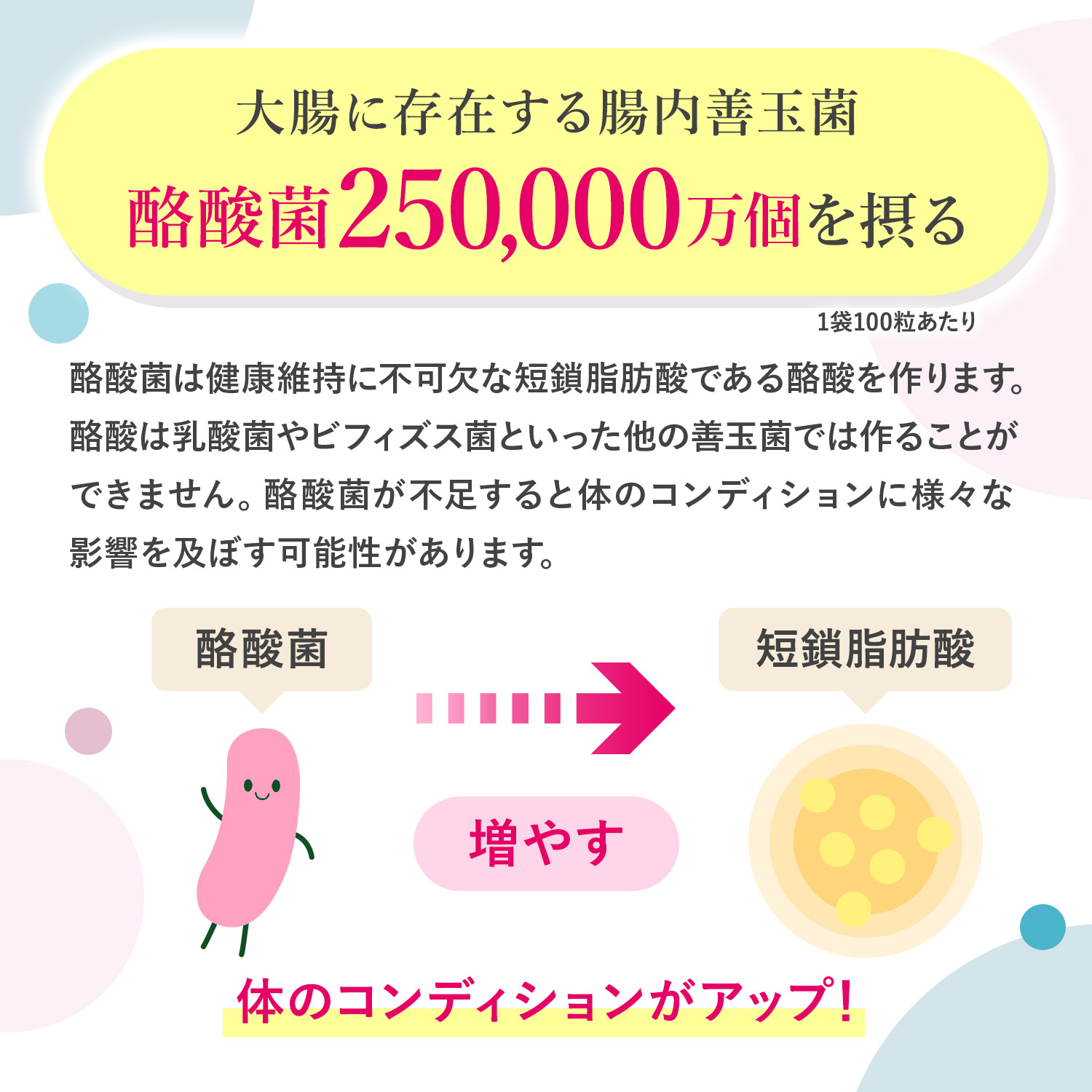 菌活届くEX 生きて届く25億個の酪酸菌