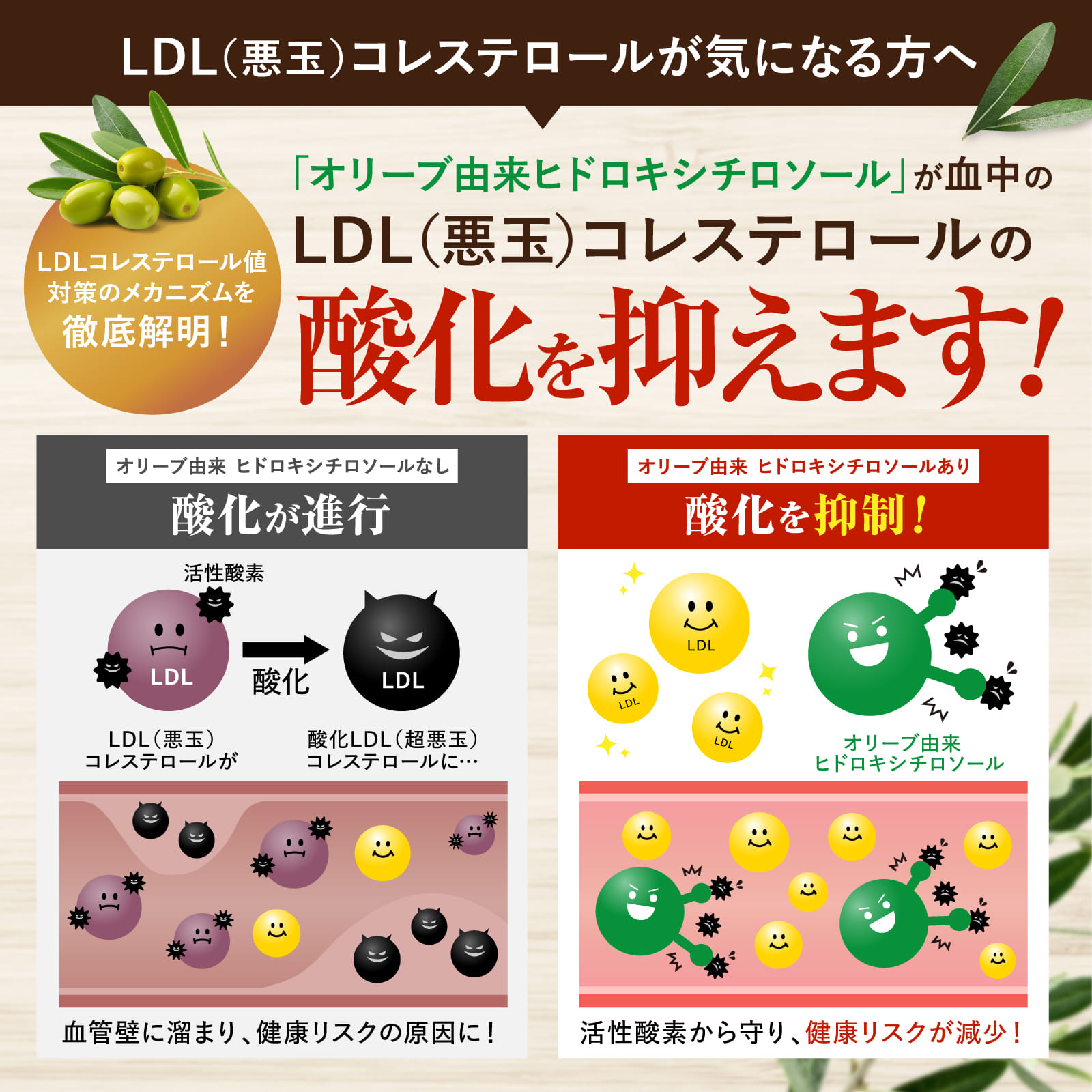 コレステ・血圧のWケア