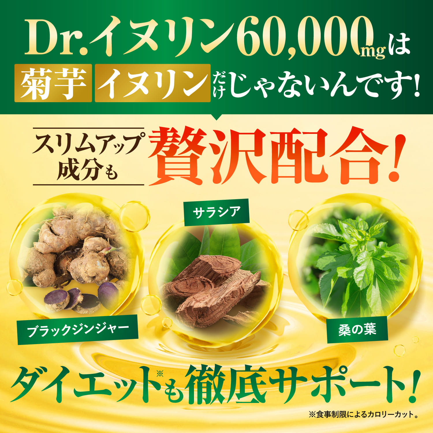 Dr.イヌリン60,000mg