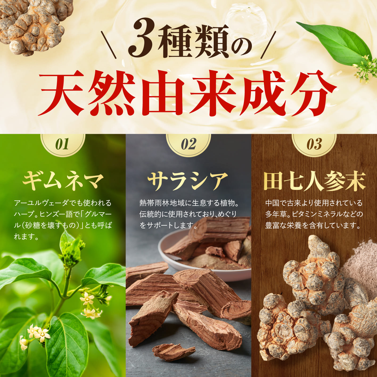 ルテオリンとGABAの極み