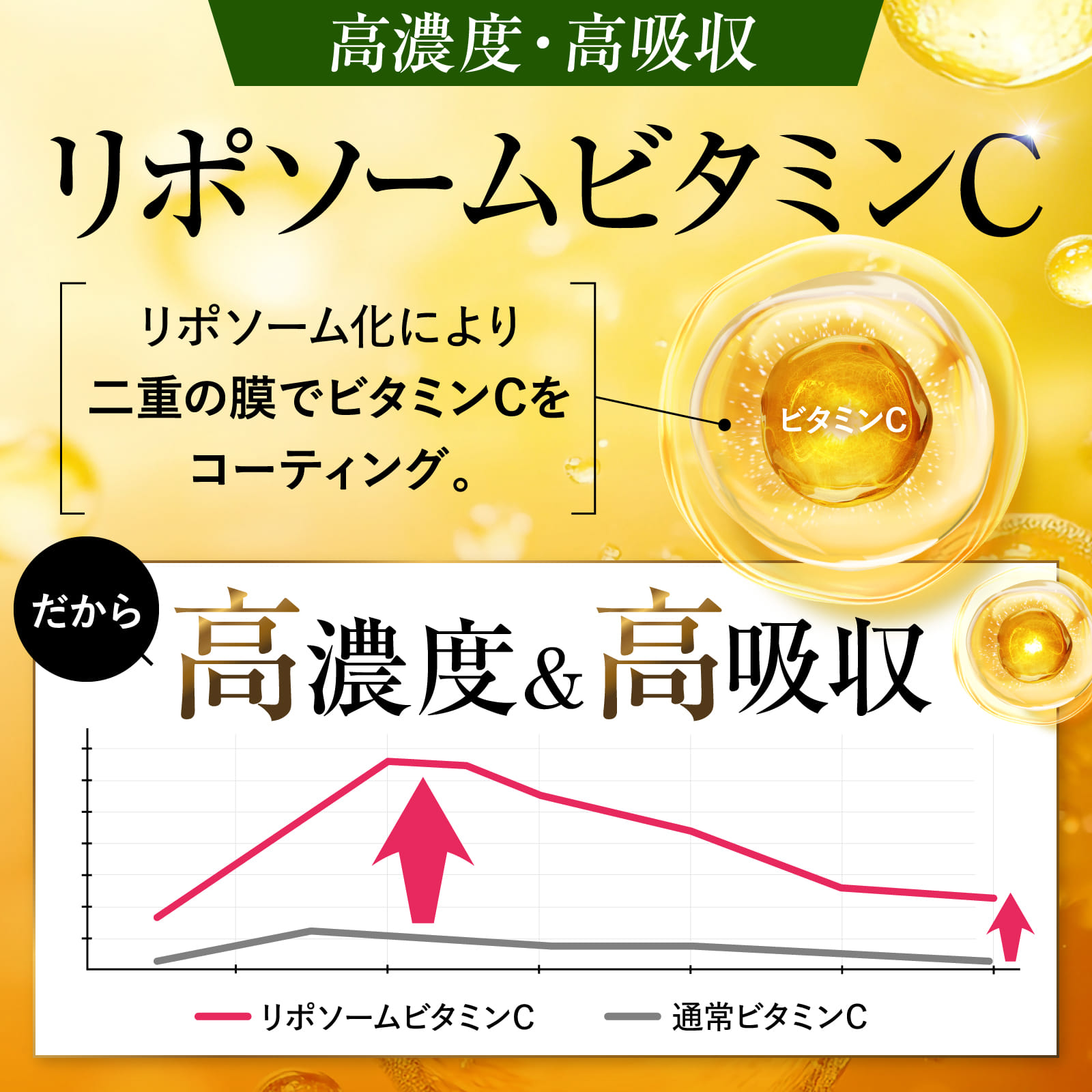 ビタミンC リポソーム EX