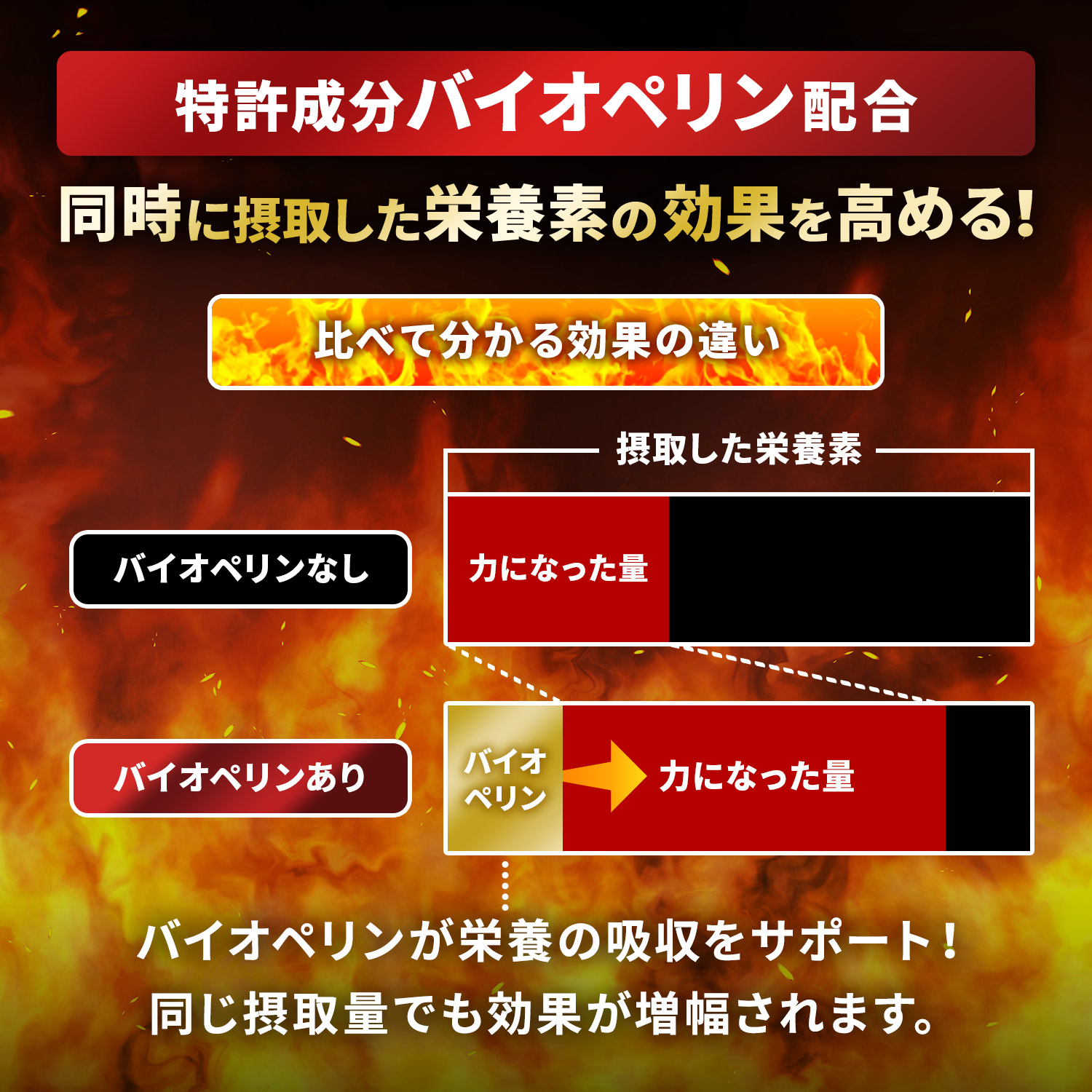 20倍濃縮マカ120,000mg