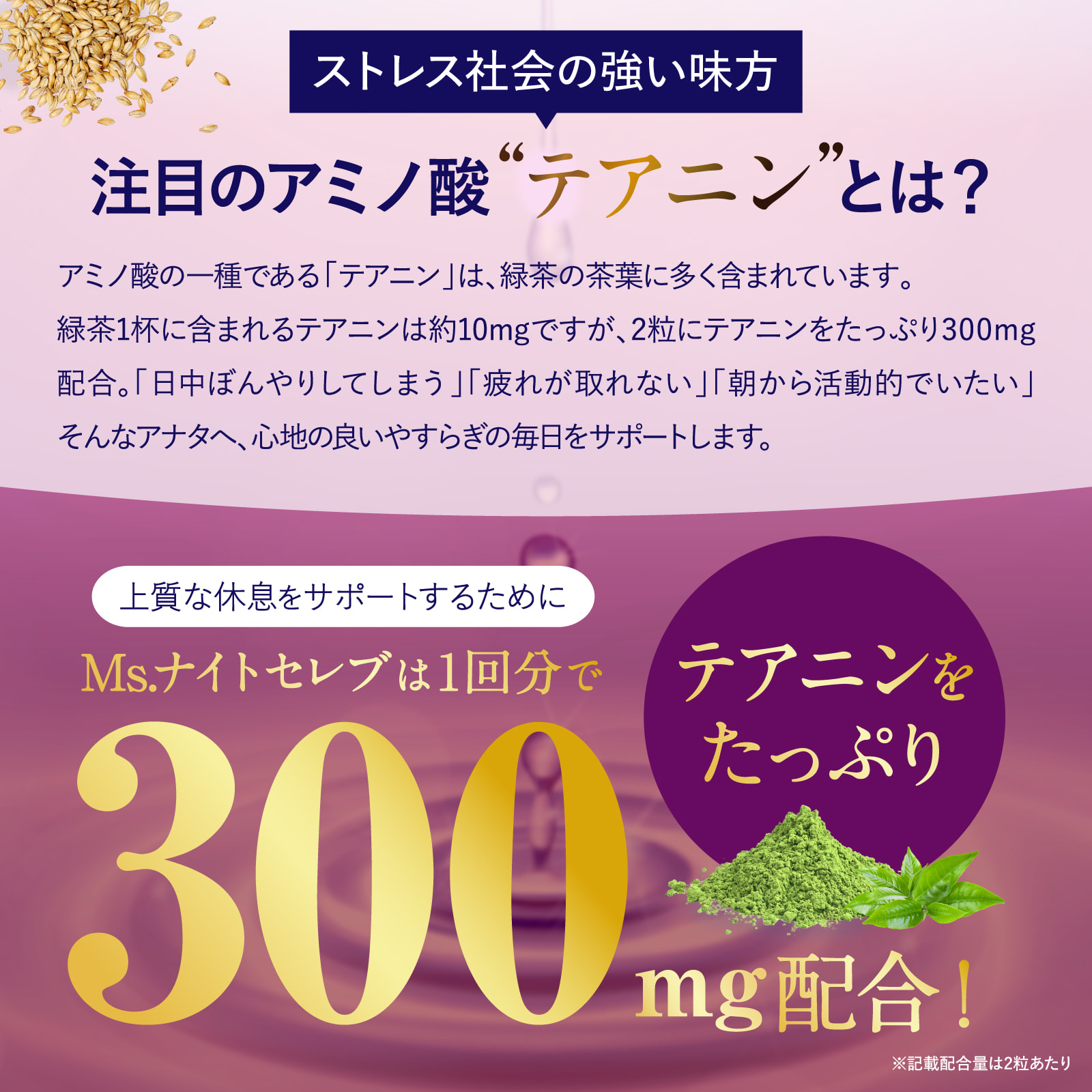 Ms. ナイトセレブテアニン300mg