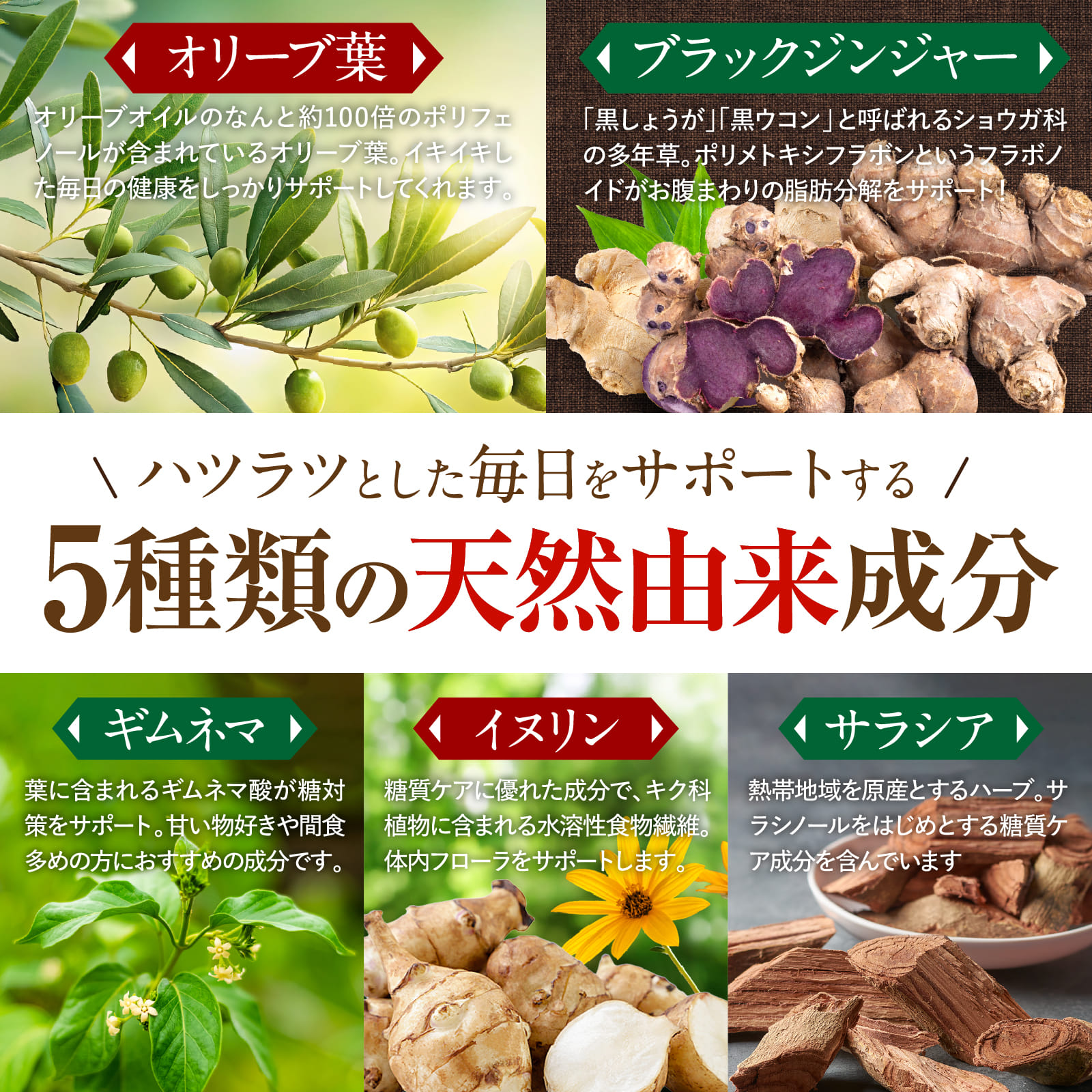 コレステロール・脂肪のWケア