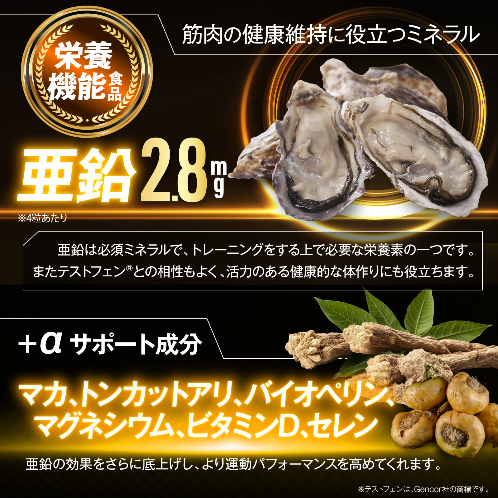 TESTSTAR(テストスター)