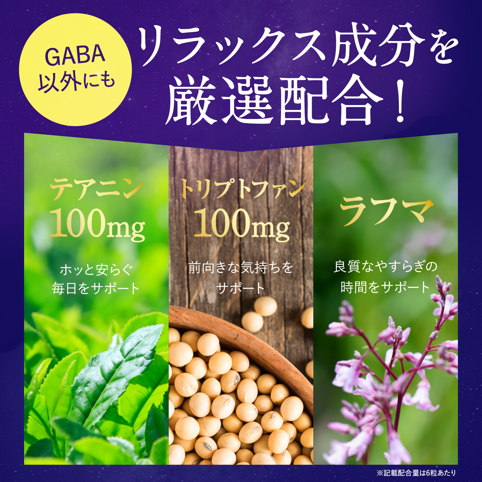 Ms. ナイトセレブGABA500mg