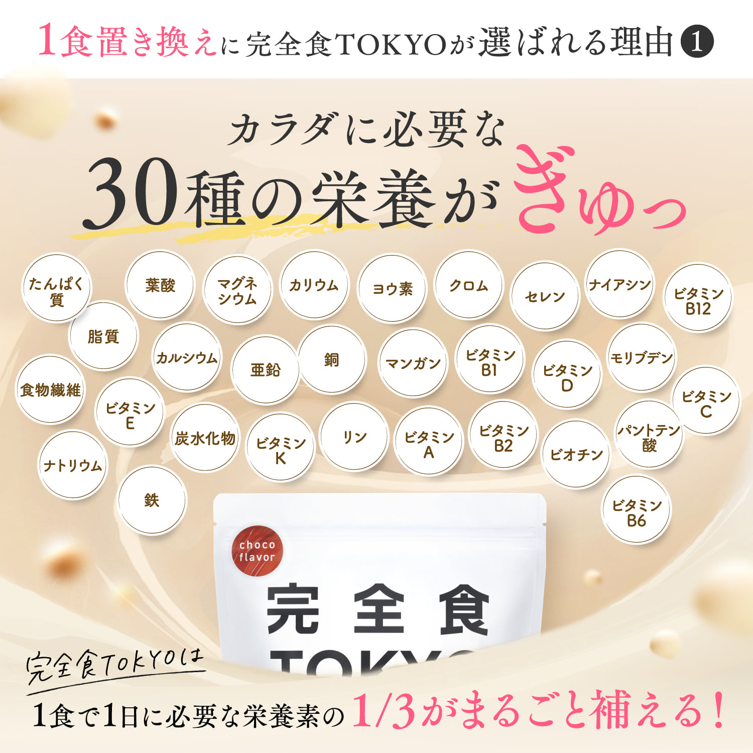 完全栄養食プロテイン 完全栄養食プロテイン: チョコレート