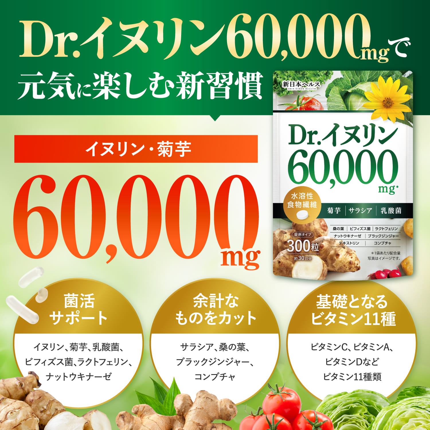 Dr.イヌリン60,000mg