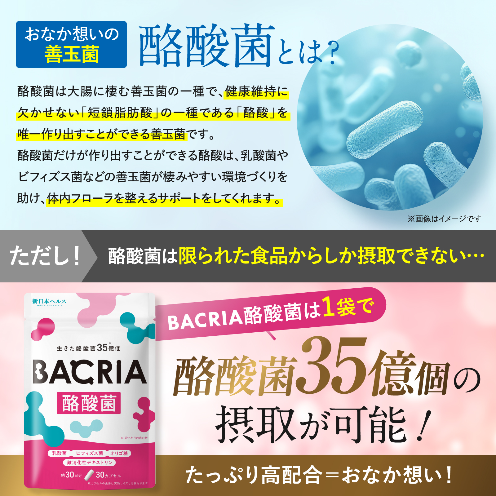 BACRIA酪酸菌