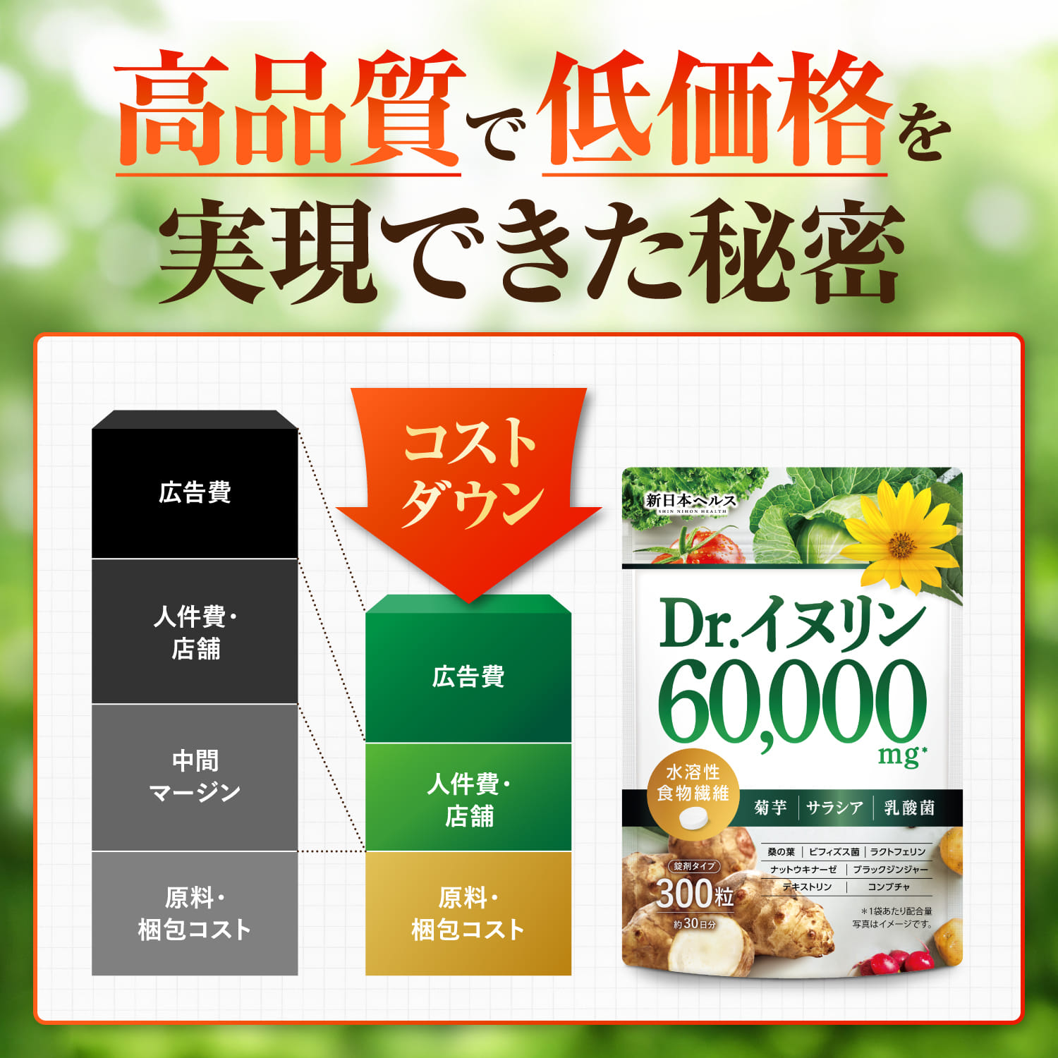 Dr.イヌリン60,000mg