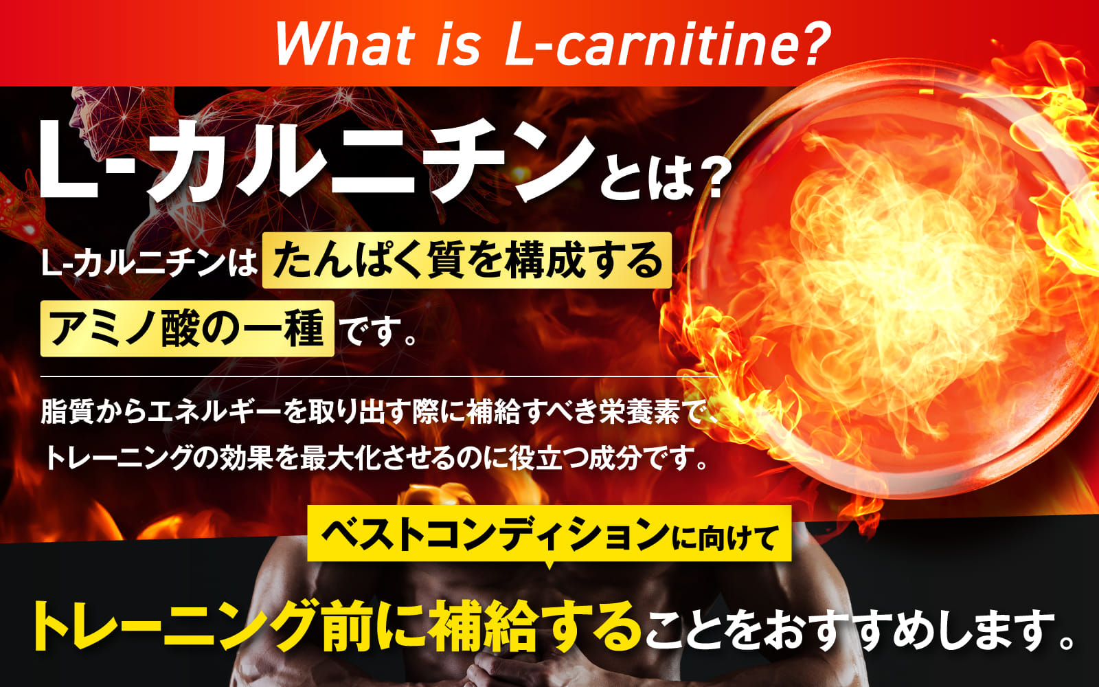 カルニチン23,000mg