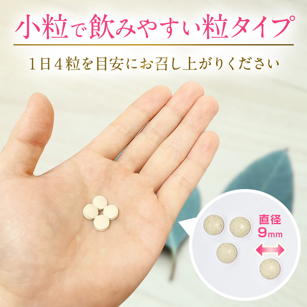 1日分のビタミン＆ミネラル