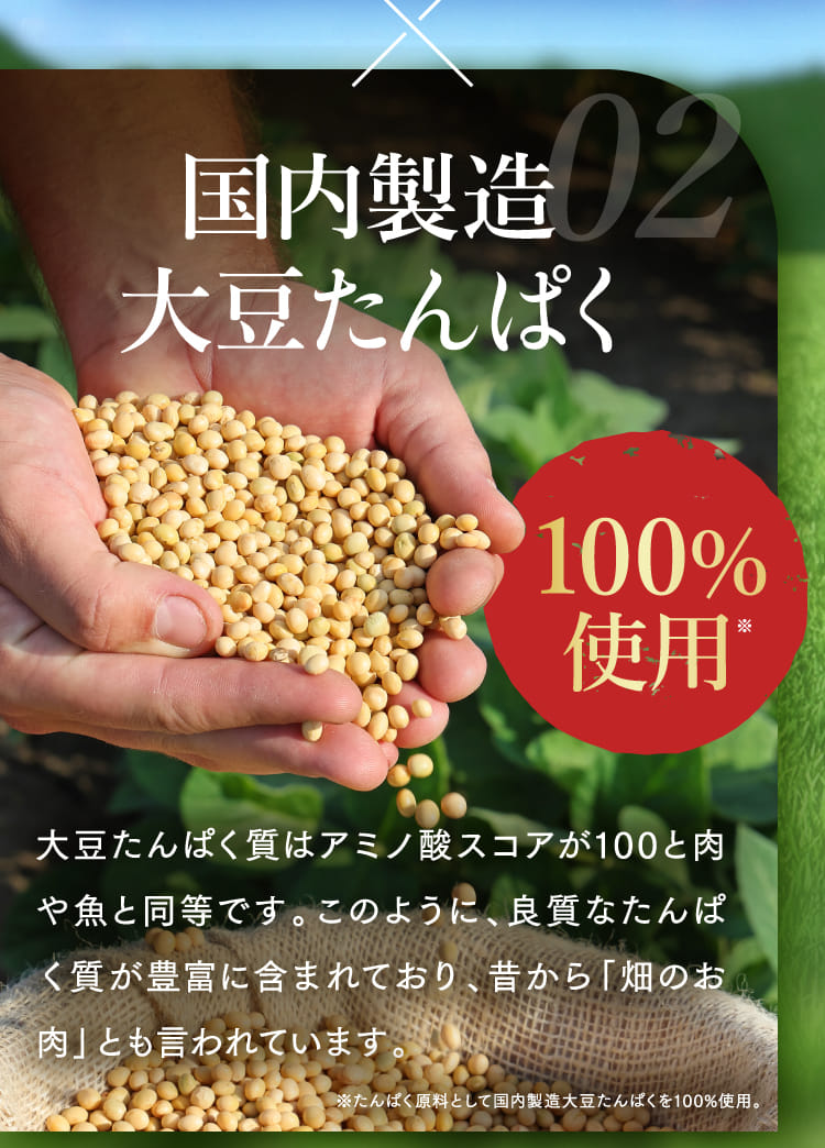 02 国内製造大豆たんぱく