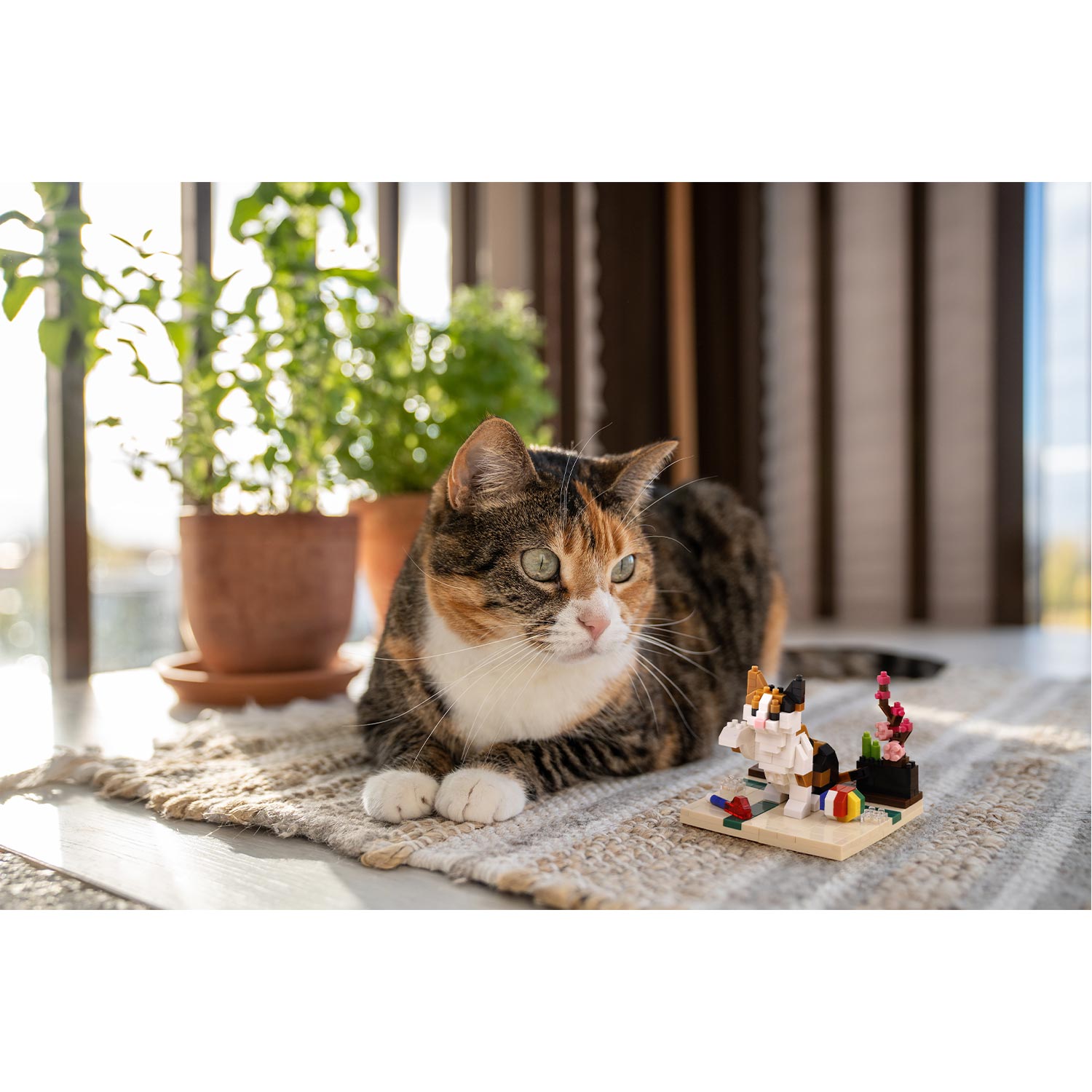 ナノブロック 三毛猫