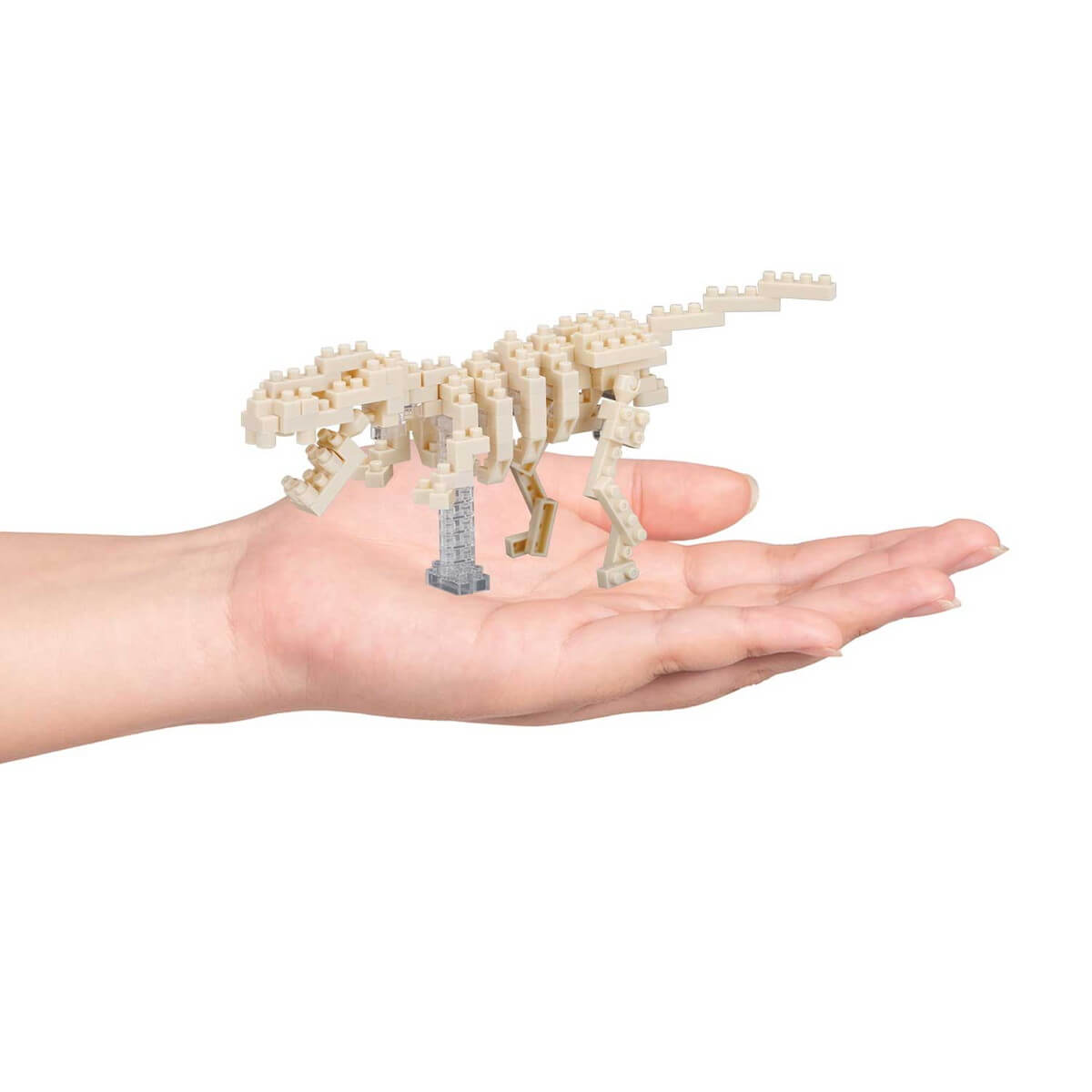 ナノブロック ティラノサウルス 骨格モデル