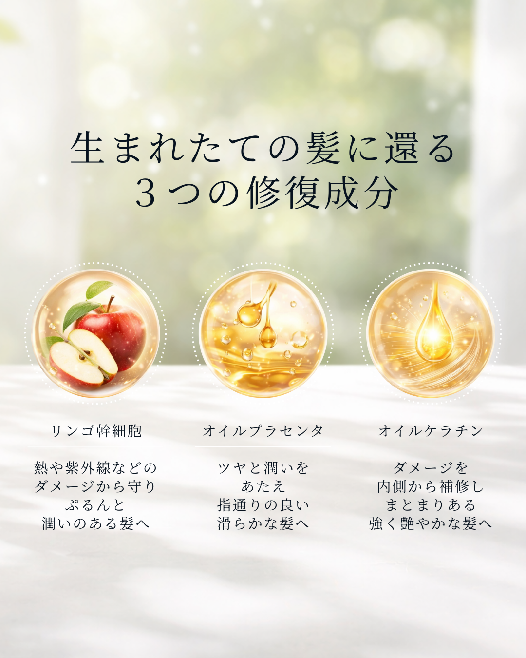 VIESERUM 決算感謝キャンペーン