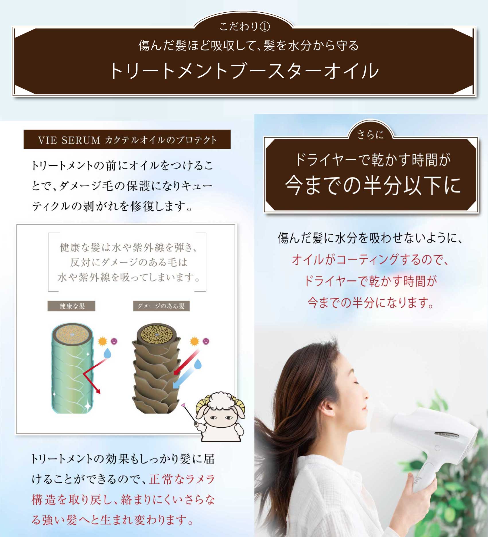 VIE SERUMセット_アンバサダー記念BOX（ヒョヌ＆シフンver）